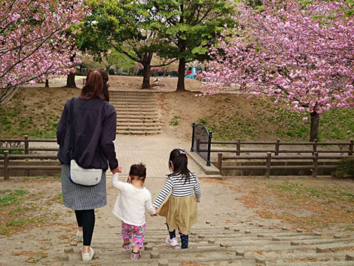 公園で遊ぶ