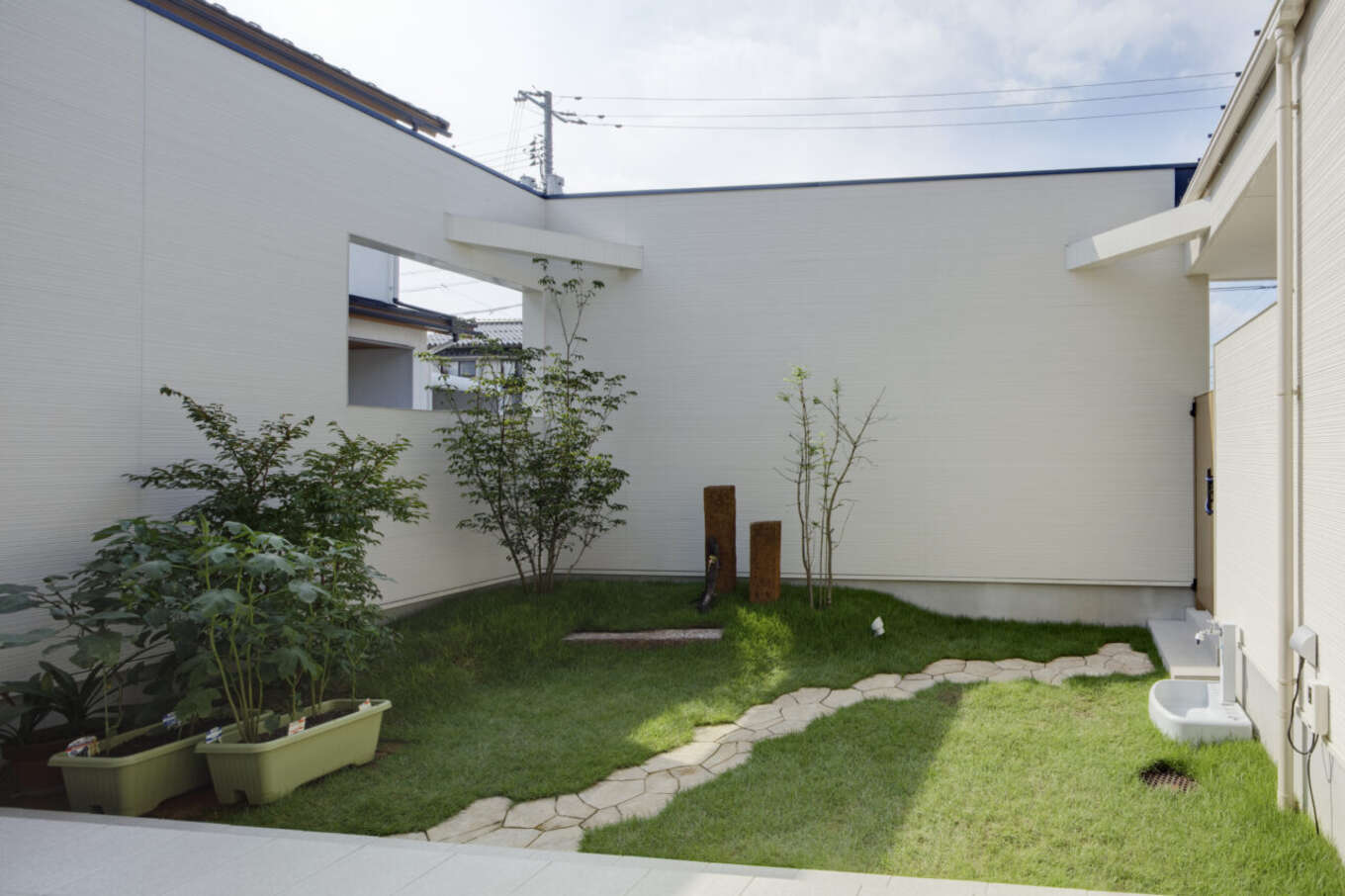 中庭で家庭菜園