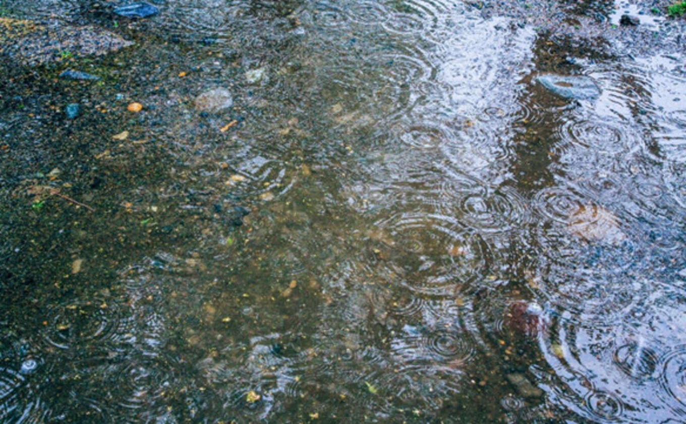 雨